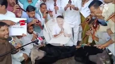 हुज़ूर: कांग्रेस विधायकों का अनोखा प्रदर्शन, भैंस के आगे बीन बजाकर सरकार को जगाने का प्रयास