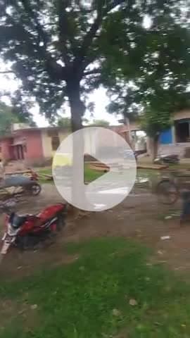 Nagpanchami per jhula jhulte log