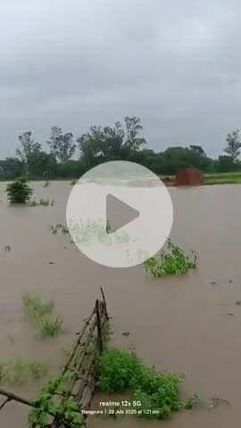 रेशम केंद्र के पास सीधा हुआ नदी का जल स्तर पाटनदेव रायसेन न्यूज 
#raisennews #mpnews #mp
raisen