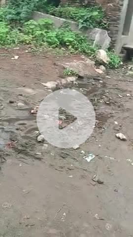 एक जिला कलेक्टर का काम होता है वह अपने गांव की तरफ भी देखकर एक एक बार सर्वे करें सरगांव कैसा है, please share my 311806