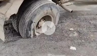 ग्वालियर गिर्द: ग्वालियर: शब्द प्रताप आश्रम क्षेत्र में धंस गया ट्रक