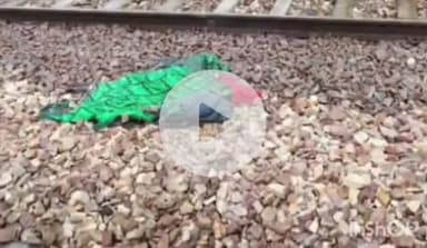 एत्मादपुर: बरहन रेलवे स्टेशन पर ट्रेन की चपेट में आने से एक महिला की हुई दर्दनाक मौत, पुलिस जांच में जुटी