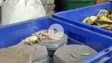 गभाना: पिसावा थाना में नकली विस्फोटक फैक्ट्री का भंडाफोड़, पुलिस की सूझबूझ से बड़ा हादसा टला, एक युवक को किया गिरफ्तार