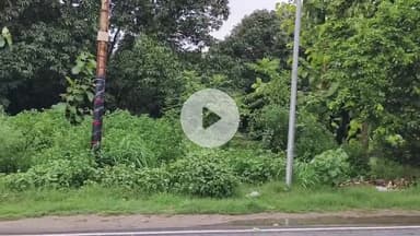 अमरोहा: अमरोहा जिले में तेंदुए का खौफ, अतरासी रोड पर दिखाई दिया तेंदुआ, ग्रामीणों में दहशत का माहौल