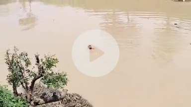 रहुई: तूफ़ानगंज: पुलिस को देख नामजद अभियुक्त ने नदी में लगाई छलांग, विभिन्न मामलों में था आरोपी