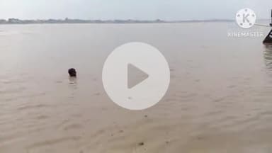 बक्सर: गंगा का जलस्तर वार्निंग लेवल से 44 सेमी दूर, 3 सेमी प्रति घंटे की रफ्तार से वृद्धि जारी; लोगों की बढ़ी चिंता