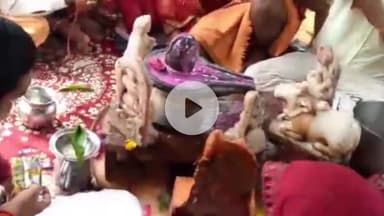 कन्नौज: कन्नौज के भवानीपुर गांव में भक्तों ने रूद्राभिषेक कार्यक्रम का आयोजन किया, जलाभिषेक के साथ बांटा प्रसाद