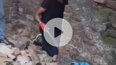 बीसलपुर: नवादिया रामपुर गांव में सांप पकड़ते समय युवक को सांप ने डसा, नाना की मौत के बाद पड़ रहा था सांप