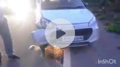 बैतूल नगर: चिखलार: तेज रफ्तार कार ने दो मवेशियों को कुचला, दोनों की मौत