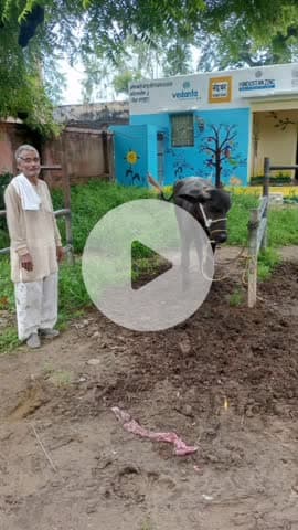 वैर: सरसेना गांव के पशु चिकित्सालय में केवल एक कर्मचारी कार्यरत, छुट्टी पर जाने पर चिकित्सालय रहता है बंद