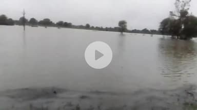 बीना: ग्राम हिन्नौद सहित बेतवा नदी के किनारे के कई गांव बाढ़ की चपेट में, फसलें पूरी तरह बर्बाद