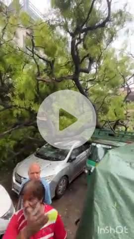 भीलवाड़ा: मंगला चौक क्षेत्र में अचानक नीम का पेड़ गिरने से बिजली के टूटे तार, नीचे दबकर एक कार हुई डैमेज