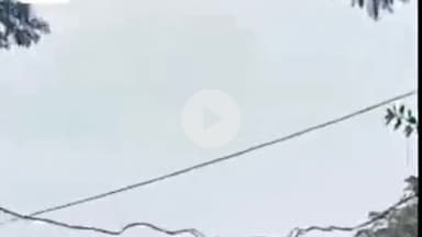 बल्दीराय: बड़नपुर गांव के पास हरे पेड़ों के सहारे चल रही विद्युत सप्लाई, कभी भी हो सकता है बड़ा हादसा