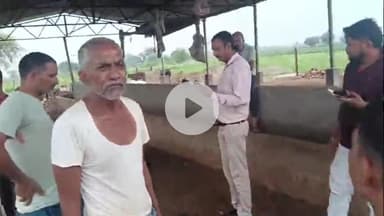 कोल: नगला जगदेव की गौशाला में भूख से तड़प कर मर रहे गोवंश, डीएम ने जांच के बाद कार्रवाई की बात कही