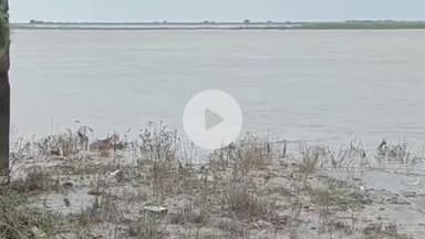 कहलगांव: कहलगांव में गंगा का जलस्तर घटने से निचले इलाकों में राहत, प्रशासन अलर्ट