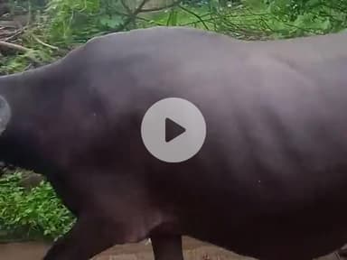 hhhchcgxztxyjciud6gxhchbhvu