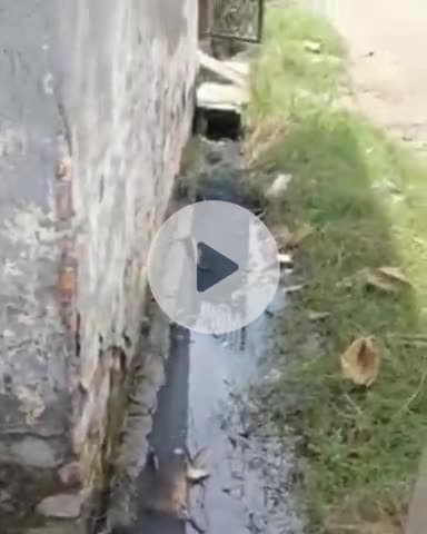 जगाधरी: सुंदर विहार में फैली गंदगी से लोग परेशान #Jansamasya