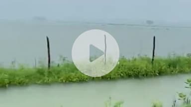 दीगोद: ख़्यावदा गांव में लगातार बारिश से खेत बने दरिया, सोयाबीन व धान की फसलें बर्बाद