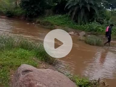 हजारी कुशवाहा 
9039782813