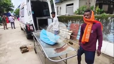 बेगूसराय: सांप काटने से मासूम बच्चे की मौत, परिजनों में हड़कंप, पुलिस जांच में जुटी