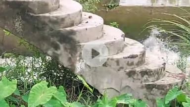 कोल: जवां गंग नहर में महिला की पहचान हुई, रिचार्ज ना कराने पर पति से नाराज होकर महिला ने लगाई छलांग