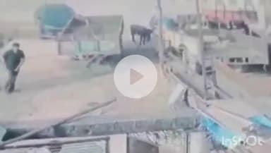 छिबरामऊ: सैयद वाडा का रहने वाला युवक कार से कुचलने का प्रयास, सीसीटीवी में आया सामने, पीड़ित ने दी तहरीर