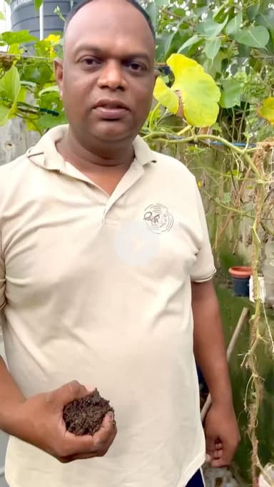 गमले में आर्गेनिक खेती