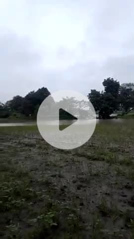 gram sirchopi me nadi aane se kishano ki fasle barbad #bad Ane se