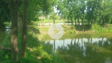 अपना गांव,, पूर्व छात्र अध्यक्ष रंजन कुमार सिन्हा कॉलेज औरंगाबाद,,,,