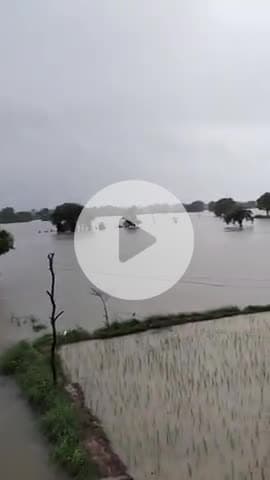 डबरा विराट गांव पिपरिपुरा का डेरा पूरी तरह बाढ़ की चपेट में है @