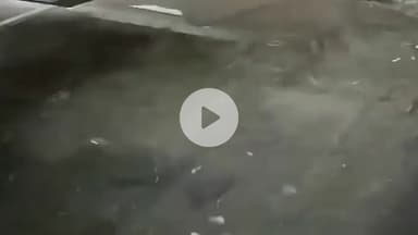 राजसमंद: राजसमंद में भीषण सड़क हादसा: सालामपुरा में अनियंत्रित कार ने गाय को मारी टक्कर, दुकान में घुसी कार