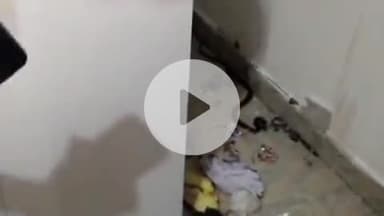 टीकमगढ़: अयोध्यापुरी के मकान में निकला साइलेंट किलर, वन रक्षक ने काले कोबरा सांप का रेस्क्यू कर जंगल में छोड़ा