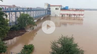 बाह: पिनाहट में चंबल का कहर, कई गांव जलमग्न, DM ने लिया जायजा