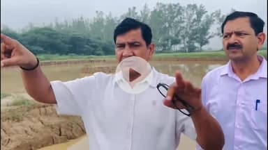 पेहोवा: सरस्वती बोर्ड वन विभाग के साथ सरस्वती संयोसर जंगल में 70 एकड़ में बनाएगा रिज़र्व वायर