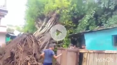 सिरोंज: टॉकीज चौराहे के समीप आंधी-तूफान व बारिश के चलते 3 मकानों पर गिरा 100 साल पुराना बरगद का पेड़