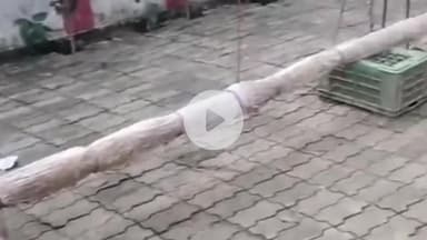 लंभुआ: लंभुआ में 4 अगस्त को निकलेगी 181 फीट की भव्य कांवड़ यात्रा, जलाभिषेक धोपाप धाम से बाबा जनवारीनाथ धाम तक पहुंचेगी