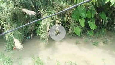 महराजगंज नगर पालिका के आबादी के बीच से बहने वाली नहर को नगर के समझदार दमदार नागरिकों ने कूड़ा डंपिंग स्थान बना दिया है