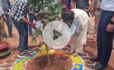 దామరచర్ల: వీర్లపాలెం గ్రామంలో మొక్కలు నాటిన జిల్లా కలెక్టర్ ఇలా త్రిపాఠి