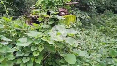 लोहरदगा: बदला चित्रौली गांव: खुले में शौच करने गई मां को सांप ने काटा, हालत गंभीर