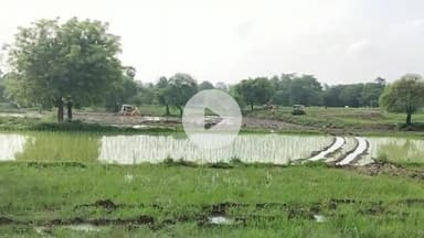 नबीनगर: पांडेय कर्मा में एक्सप्रेस-वे निर्माण के लिए फसलों को रौंदा, किसानों ने कहा- जमीन हड़पना चाहती है सरकार #jansamasya