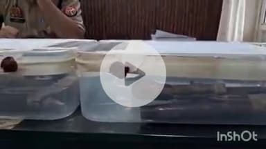 कोल: अलीगढ़ पुलिस ने अवैध शस्त्र बनाने की फैक्ट्री का भंडाफोड़, बरामद हुए हथियार व उपकरण, 4 गिरफ्तार, 2 फरार