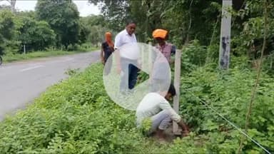 तुलसीपुर: जरवा क्षेत्र के बालापुर चौराहे तक वन विभाग द्वारा कटीला तार फेंसिंग, वृक्ष रहेंगे सुरक्षित, दुर्घटनाओं पर लगेगी लगाम