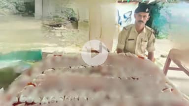 कहलगांव: घोघा थाना पुलिस ने 56 लीटर देसी मसालेदार शराब के साथ एक मोटरसाइकिल भी ज़ब्त की