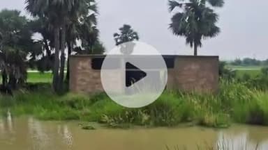 रहुई: रहुई प्रखंड: चार पंचायतों में कचरा उठाव ठप, डब्ल्यूपीयू बना शोपीस