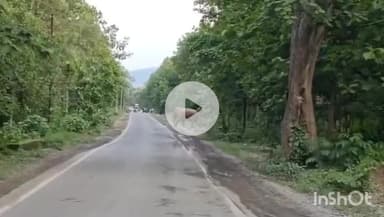 उदयपुर धरमजयगढ़: धरमजयगढ़ रायगढ़ मुख्य मार्ग पर सड़क पार करते हुए दिखा जंगली हाथियों का दल