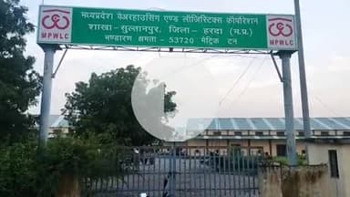 सिरौली में समर्थन मूल्य पर की जा रही मूंग उपज की खरीदी, आगामी 8 अगस्त तक मूंग खरीदी का कार्य रहेगा जारी