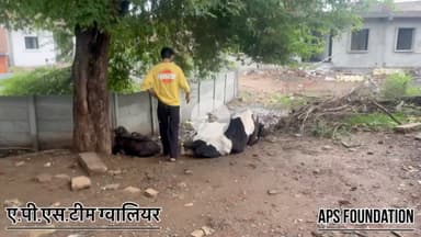 जाब खिला नही सकते तो पालते क्यो हो…

Respect girls help poor help animals 

#apsgurjar #help #viral #support #gwalior