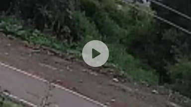 मझगवां: मझगवां बायपास के पास अनाज गोदाम के पास दिखा जंगली भालू, CCTV वायरल होने के बाद वन विभाग ने बढ़ाई गश्त, भालू की तलाश जारी