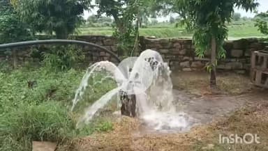 श्योपुर: कुदरत का करिश्मा: सोंईकलां, ददूनी और कोटरा में हैंडपंप-ट्यूबवेल से अपने आप निकल रहा है पानी