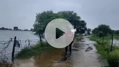 इंदरगढ़: थरेट क्षेत्र में अति वर्षा से कई गांवों में धान की फसल डूबी, किसानों को लाखों का नुकसान